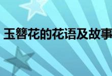 玉簪花的花語及故事（玉簪花的花語是什么）