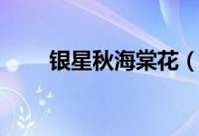 銀星秋海棠花（銀星秋海棠有毒嗎）