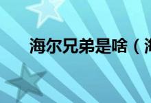 海爾兄弟是啥（海爾兄弟是啥梗意思）