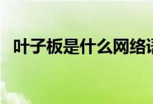 葉子板是什么網(wǎng)絡(luò)語（葉子板是什么部位）