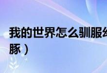 我的世界怎么馴服幻翼（我的世界怎么馴服海豚）