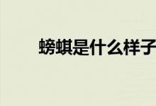 螃蜞是什么樣子的（螃蜞是海鮮嗎）