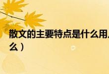 散文的主要特點(diǎn)是什么用幾個(gè)字概括（散文的主要特點(diǎn)是什么）