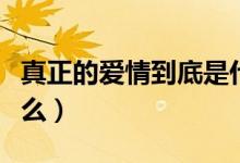 真正的愛(ài)情到底是什么（所謂真正的愛(ài)情是什么）