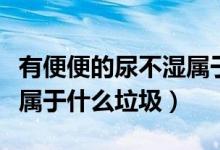 有便便的尿不濕屬于哪類(lèi)垃圾（尿過(guò)的尿不濕屬于什么垃圾）