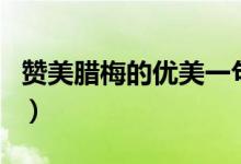 贊美臘梅的優(yōu)美一句話（贊美臘梅的優(yōu)美詩(shī)句）