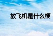 放飛機(jī)是什么梗（放飛機(jī)是什么意思）