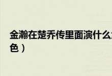 金瀚在楚喬傳里面演什么角色（金瀚在楚喬傳中演的什么角色）