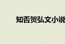 知否賀弘文小說（知否賀弘文結(jié)局）