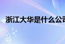 浙江大華是什么公司（浙江大華是國(guó)企嗎）