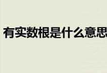 有實(shí)數(shù)根是什么意思（有實(shí)數(shù)根是什么意思）