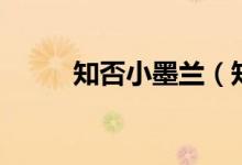 知否小墨蘭（知否小墨蘭誰演的）