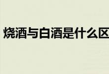 燒酒與白酒是什么區(qū)別（燒酒與白酒的區(qū)別）