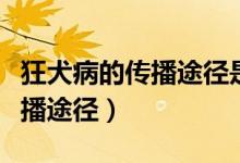 狂犬病的傳播途徑是血液傳染么（狂犬病的傳播途徑）
