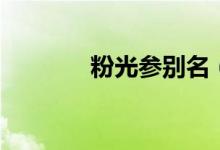 粉光參別名（粉光參是什么）