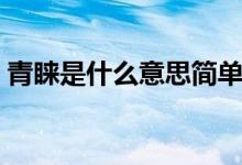 青睞是什么意思簡(jiǎn)單的說(shuō)（青睞是什么意思）