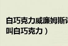 白巧克力威廉姆斯評價(jià)（賈森威廉姆斯為什么叫白巧克力）