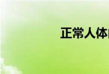 正常人體內(nèi)有多少血液
