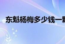 東魁楊梅多少錢一顆(東魁楊梅多少一斤)