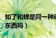 知了和蟬是同一種動(dòng)物嗎（知了和蟬是同一種東西嗎）