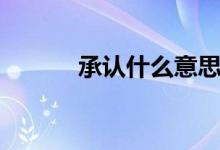 承認(rèn)什么意思（承認(rèn)什么意思）