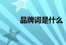 品牌詞是什么（PPC是什么材質(zhì)）