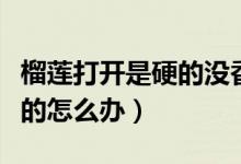 榴蓮打開是硬的沒香味怎么辦（榴蓮打開是硬的怎么辦）