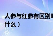 人參與紅參有區(qū)別嗎（人參與紅參的區(qū)別點(diǎn)是什么）