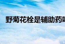 野菊花栓是輔助藥嗎（野菊花栓是什么藥）