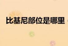 比基尼部位是哪里（比基尼區(qū)是什么部位）