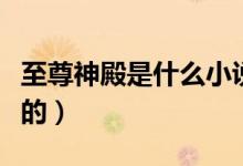 至尊神殿是什么小說（至尊神殿是什么小說里的）