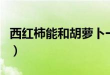 西紅柿能和胡蘿卜一起吃嗎（西紅柿能減肥嗎）