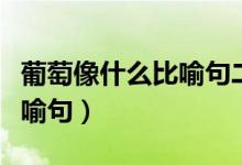 葡萄像什么比喻句二年級上冊（葡萄像什么比喻句）