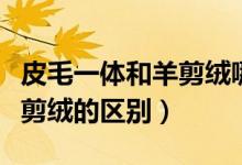 皮毛一體和羊剪絨哪個(gè)上檔次（皮毛一體和羊剪絨的區(qū)別）
