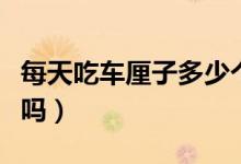每天吃車?yán)遄佣嗌賯€(gè)為宜（每天吃車?yán)遄訒?huì)胖嗎）