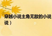 穿越小說主角無敵的小說(有什么主角很色很無敵穿越的小說)