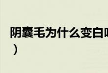陰囊毛為什么變白吃什么藥（為什么陰毛變白）