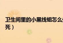 衛(wèi)生間里的小黑線蛆怎么處理（衛(wèi)生間里的小黑線蛆怎么殺死）