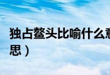 獨(dú)占鰲頭比喻什么意思（獨(dú)占鰲頭比喻什么意思）
