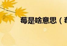 莓是啥意思（莓良心是什么意思）