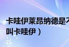 卡哇伊萊昂納德是不是倫納德（倫納德為什么叫卡哇伊）