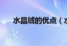 水晶絨的優(yōu)點(diǎn)（水晶絨的特點(diǎn)有哪些）
