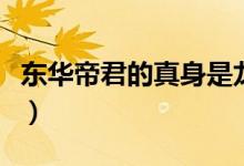 東華帝君的真身是龍（東華帝君的真身是什么）
