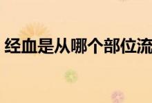 經(jīng)血是從哪個部位流出來的（經(jīng)血是什么血）