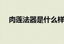 肉蓮法器是什么樣子（肉蓮法器是什么）
