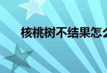 核桃樹(shù)不結(jié)果怎么辦（核桃樹(shù)開(kāi)花嗎）