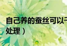自己養(yǎng)的蠶絲可以干什么（家里養(yǎng)的蠶絲怎么處理）