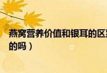 燕窩營養(yǎng)價(jià)值和銀耳的區(qū)別（燕窩和銀耳的營養(yǎng)價(jià)值是一樣的嗎）