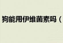 狗能用伊維菌素嗎（什么狗不能打伊維菌素）