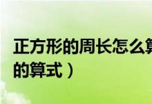 正方形的周長怎么算?。ㄕ叫蔚闹荛L怎么算的算式）